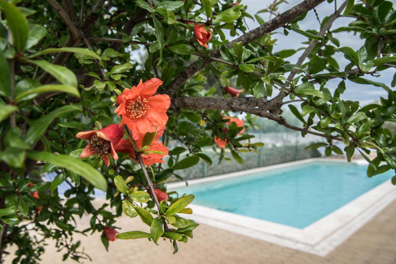 Villa Lara Polignano a Mare Kültér fotó
